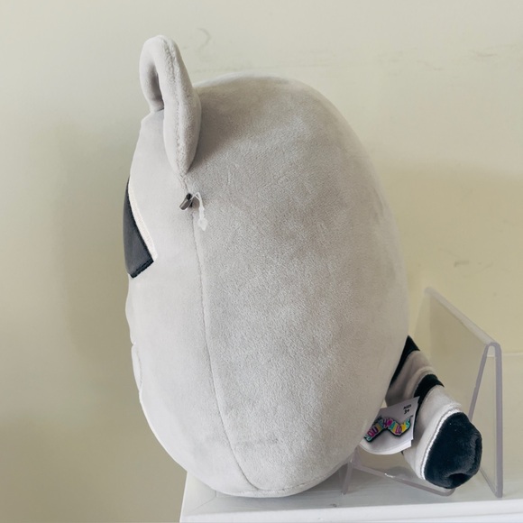 Squishmallows 8" Rocky Racoon with Latte EUC - Picture 3 of 7